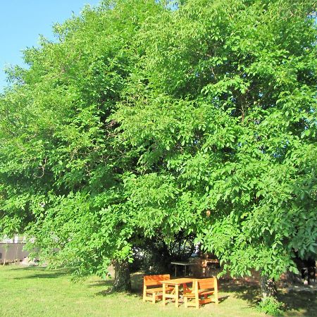Pod Orehi Bed and Breakfast Postojna Εξωτερικό φωτογραφία
