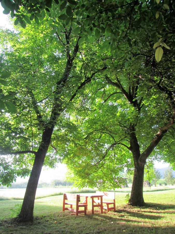 Pod Orehi Bed and Breakfast Postojna Εξωτερικό φωτογραφία