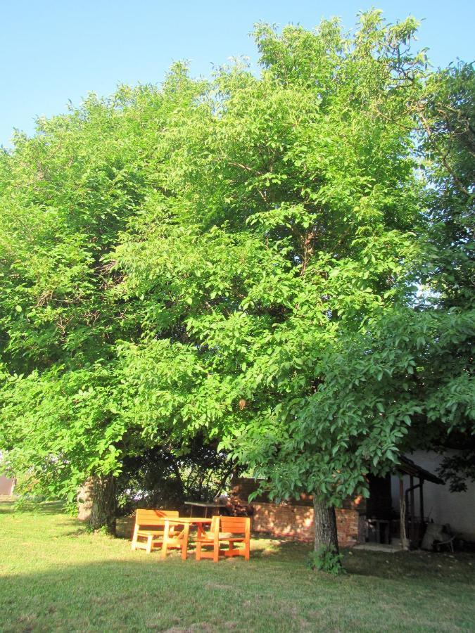 Pod Orehi Bed and Breakfast Postojna Εξωτερικό φωτογραφία