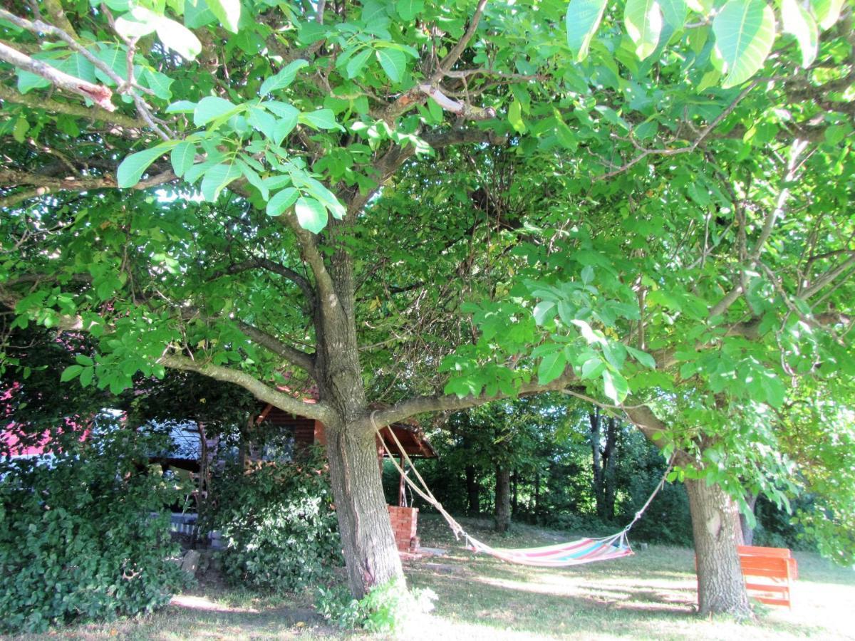 Pod Orehi Bed and Breakfast Postojna Εξωτερικό φωτογραφία